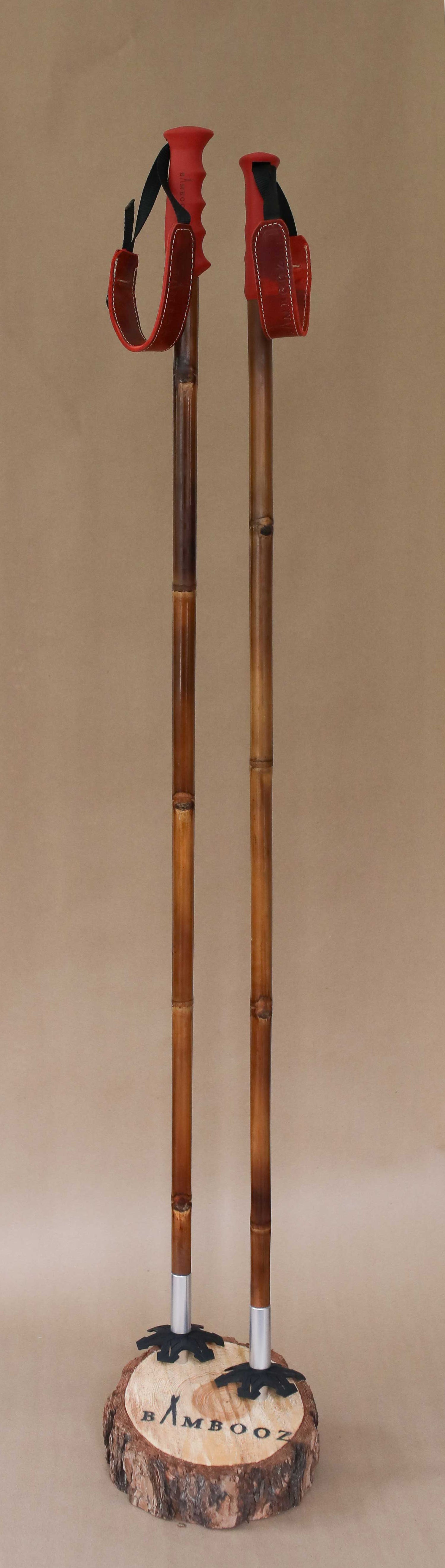 Bambino Poles (youth)