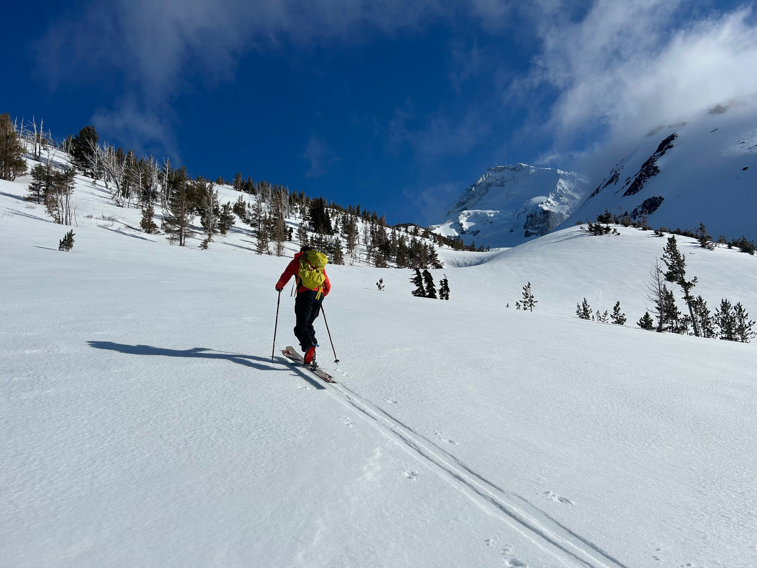 Cold-Smoke Backcountry