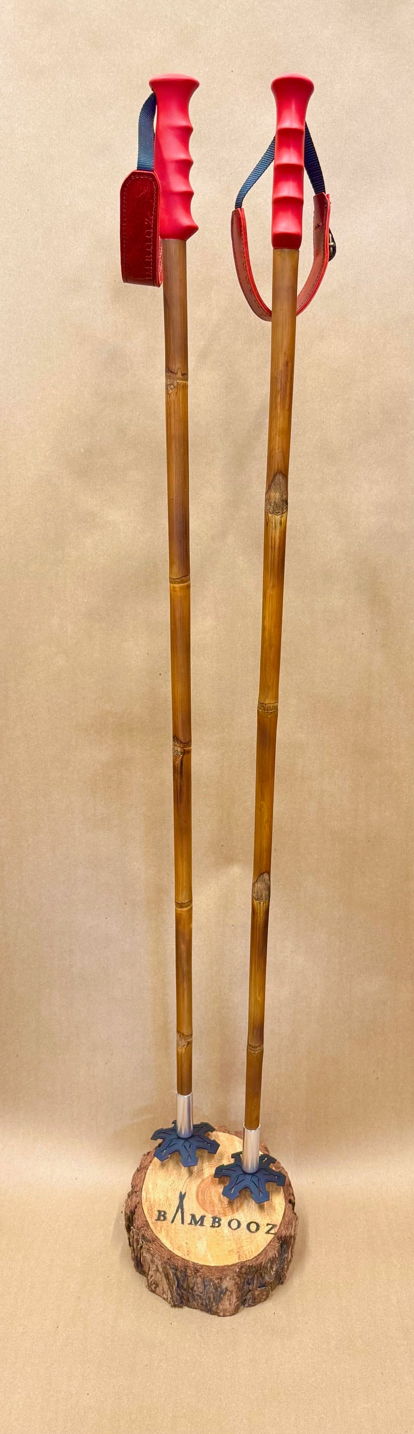youth bamboo poles