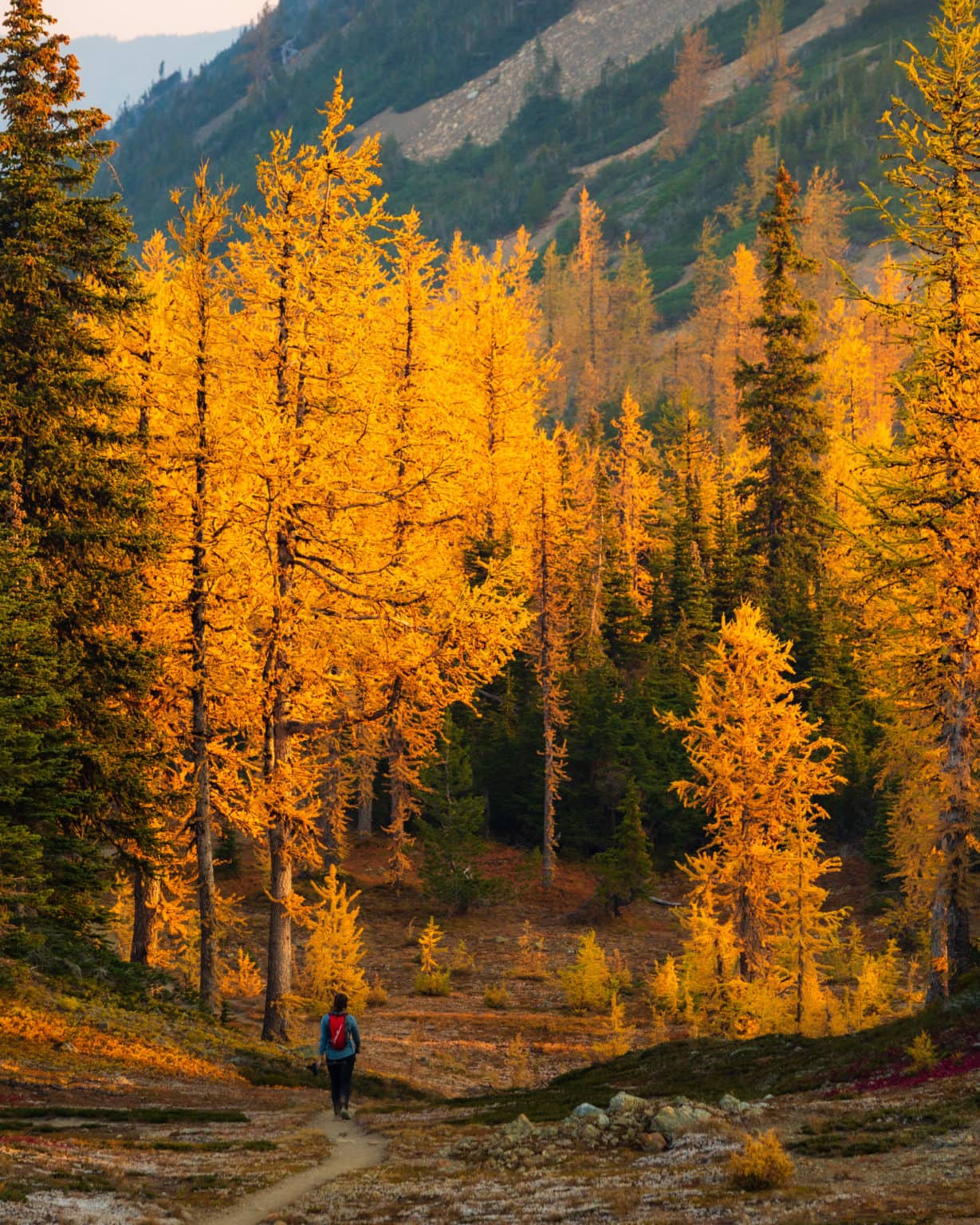 Trail-Blazer (hiking)